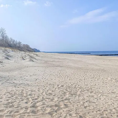 Pet Friendly In ミエンジボジェ