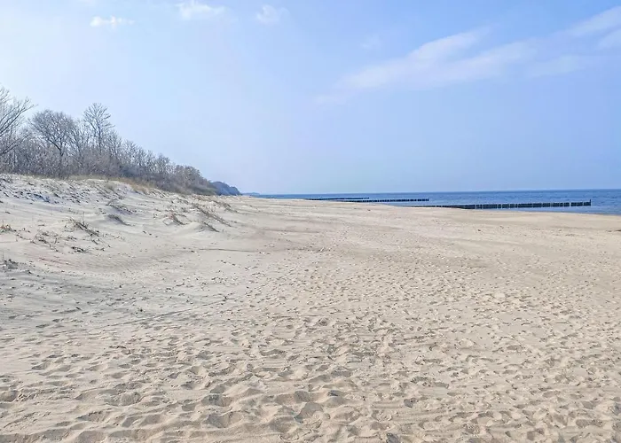 Pet Friendly In Międzywodzie